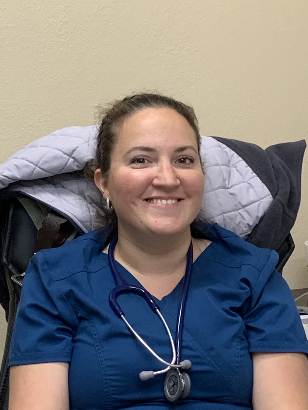 About Our Clinic Baycrest Animal Hospital St Petersburg FL